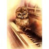 Warm And Lovely Owl And the piano Diamond Painting Kits UK AF9251