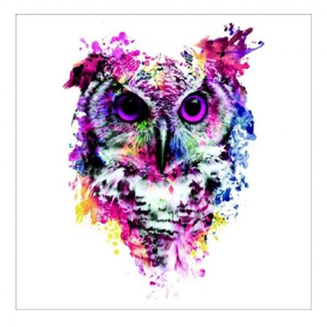 Hot Sale Modern Art Styles Colorful Owl Diamond Painting Kits UK AF9220