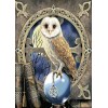Cool Cartoon Styles Magic Owl Diamond Painting Kits UK AF9244