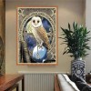 Cool Cartoon Styles Magic Owl Diamond Painting Kits UK AF9244