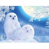 Full Square Drill Special Winter Owl 5D Diy Diamond Painting Kits UK NA0235