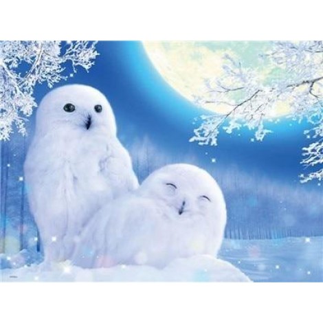 Full Square Drill Special Winter Owl 5D Diy Diamond Painting Kits UK NA0235