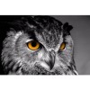 2019 5D DIY Diamond Painting Animal Owl Cross Stitch Mosaic Kits UK VM90012