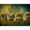 Special 5D DIY Diamond Painting Animal Owl Embroidery VM92296