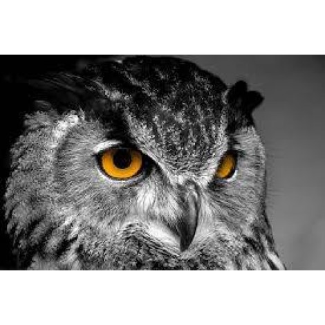 New Owl Full Drill 5D DIY Diamond Painting Kits UK VM92183