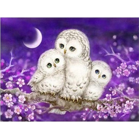 2019 Cheap Cute Owls Animal Picture 5d Diy Diamond Painting Kits UK VM8198