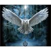 2019 Hot Sale Animal Owl Portrait 5d Diy Diamond Painting Kits UK VM7816