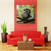 Cheap Hot Sale Animals Owl 5d Diy Diamond Painting Kits UK VM7031