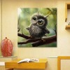 Cheap Hot Sale Animals Owl 5d Diy Diamond Painting Kits UK VM7031