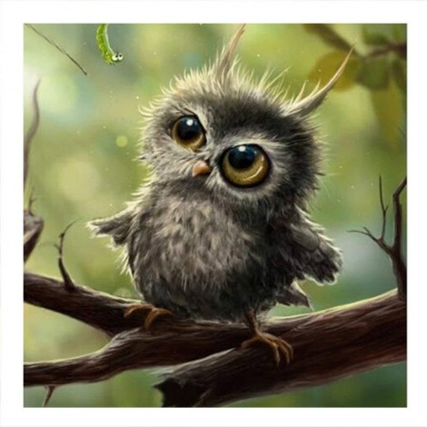 Cheap Hot Sale Animals Owl 5d Diy Diamond Painting Kits UK VM7031
