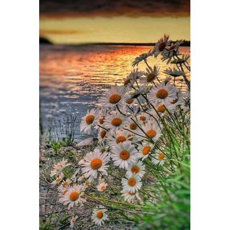 2019 New Hot Sale Flower 5d Diy Diamond Painting Kits UK VM9828