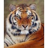 Diamond Painting Cross Stitch Embroidery Tiger Mosaic VM90834