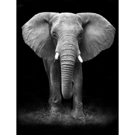 2019 Black White Square Diamond Elephant 5d Diy Diamond Painting Kits UK VM7350