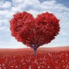 Fantasy Heart Tree 5d Diy Diamond Painting Kits UK KN80100