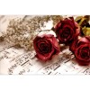 Rose Flower Sheet Music Full Drill 5D Diy Diamond Painting Kits VM92257