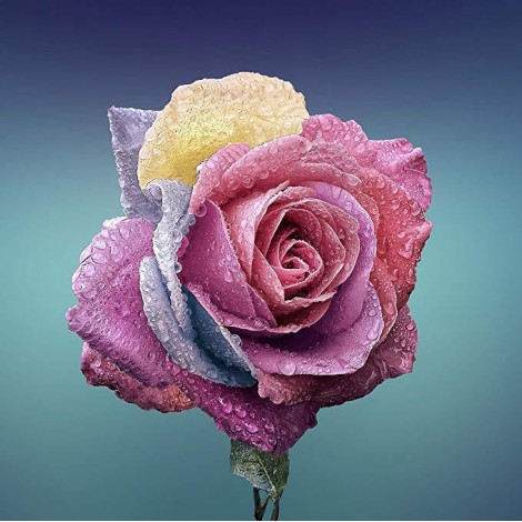 Colorful Rose 5d  Diy Diamond Painting Flowers UK KN80071