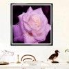 Cheap Pretty Various Sizes Pink Rose Diamond Painting Kits UK AF9317