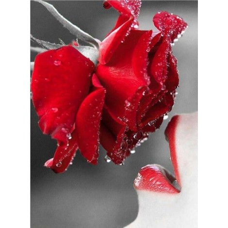 2019 New Hot Sale Full Square Red Rose 5d Diy Diamond Painting Flowers UK VM2003