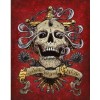 Skull Full Drill 5D DIY Diamond Painting Kits UK VM92281