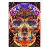 Best Colorful Modern Art Skull Pattern Diy 5d Full Diamond Painting Kits UK QB6032