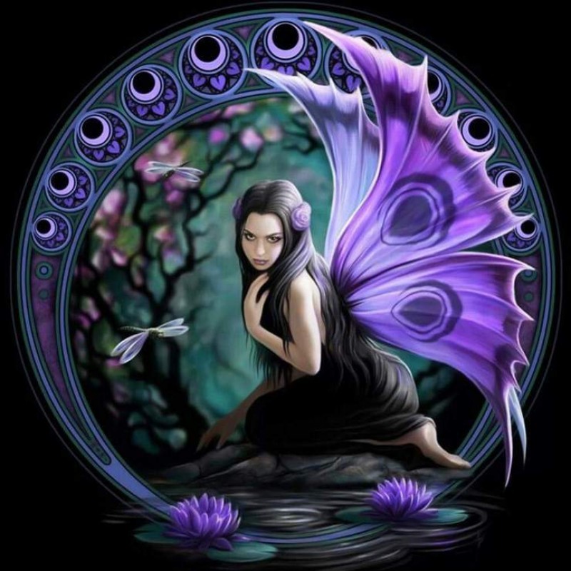 New Arrival Fairy Pa...