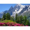 New Landscape Mountain Embroidery Cross Stitch VM92177