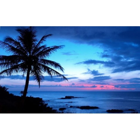 2019 Dream Decor Landscape Nature Beach 5d Diy Diamond Painting Kits UK VM4093