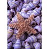 2019 Summer Beach Starfish Shell Pebble 5d Diy Diamond Painting Kits UK VM7330