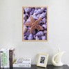 2019 Summer Beach Starfish Shell Pebble 5d Diy Diamond Painting Kits UK VM7330