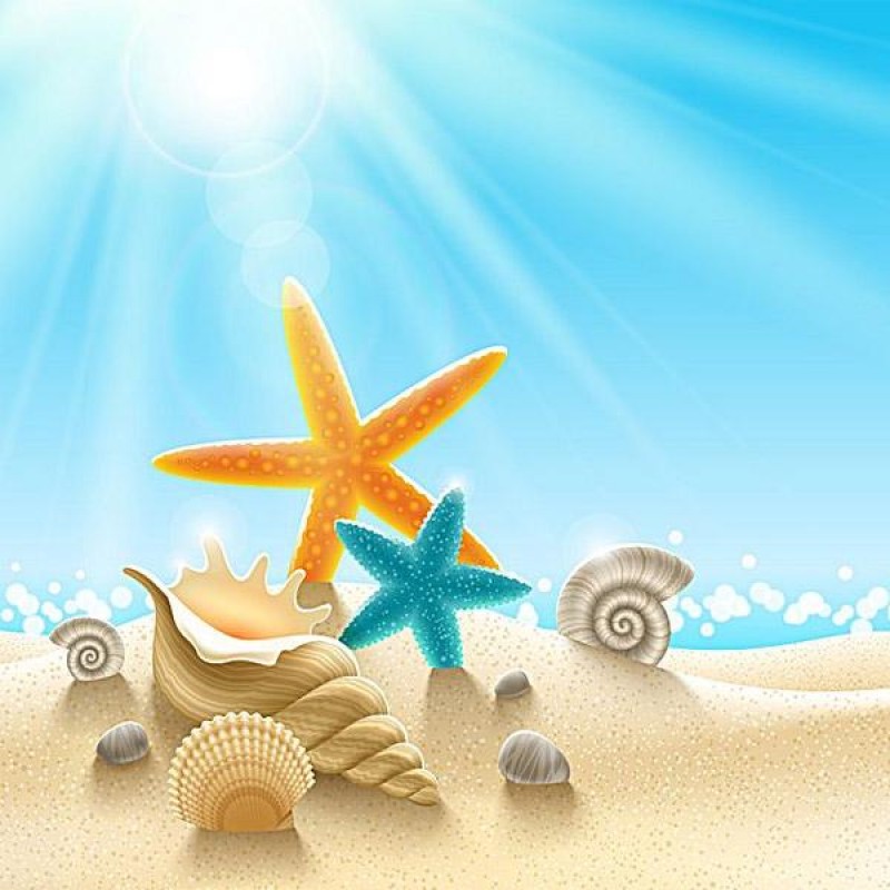 New Hot Sale Starfis...