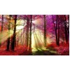 Landscape Forest Tree 5d Diy Diamond Painting Kits UK KN80101