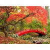 2019 New Hot Sale Autumn Forest Diy 5d Crystal Diamond Painting Kits UK VM93031