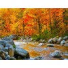 2019 Landscape Autumn Forest Creek Diy Crystal Diamond Painting Kits UK VM20030
