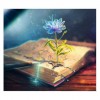 New Fantasy Mystical Book Flower 5d Diy Cross Stitch Diamond Painting Kits UK QB7098