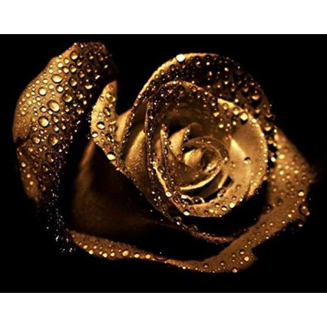 Golden Rose 5d Diy Diamond Painting Kits UK KN80148
