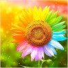 Colorful Sunflower 5d Diy Diamond Painting Kits UK KN80009