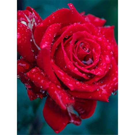 2019 Hot Sale Home Decor Red Rose 5d Diy Diamond Painting Kits Flowers UK VM4018