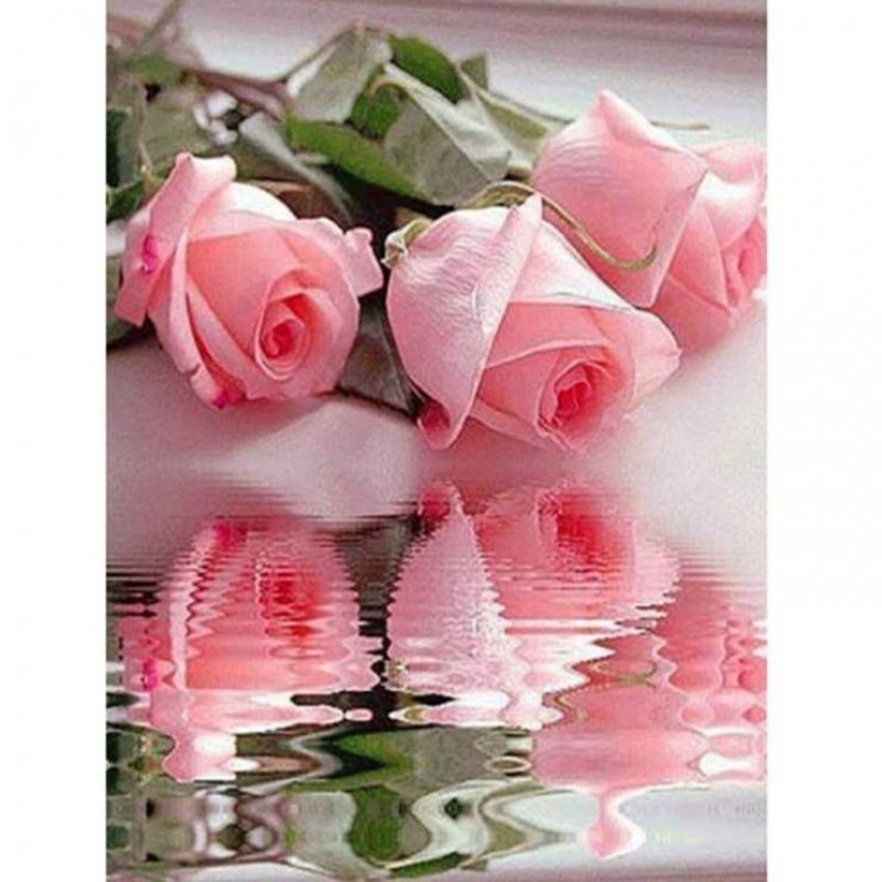Pretty Pink Rose Wit...
