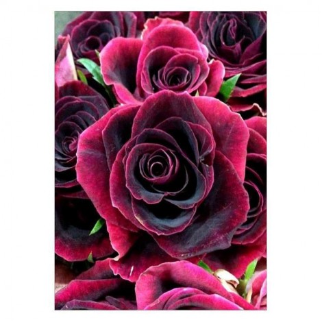 Dream Series Romantic Red roses Diamond Painting Kits UK AF9346