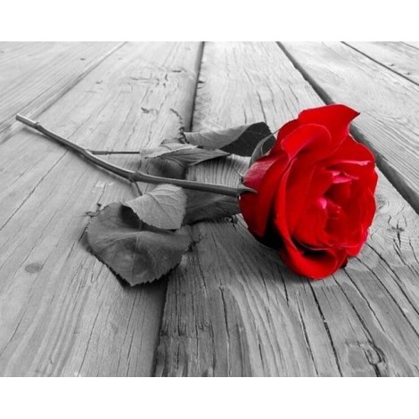 2019 New Hot Sale Red Rose 5d Diy Diamond Painting Flower UK VM3319