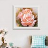 Beautiful Watercolor Pink Rose Diamond Painting Kits UK AF9305