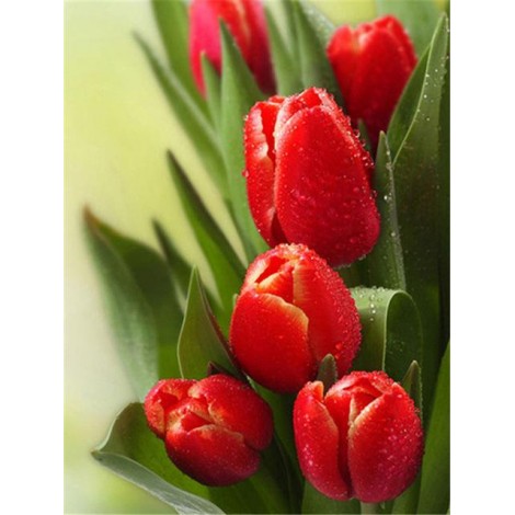 2019 New Wall Decor Red 5d Diy Diamond Painting Kits Flowers UK VM4017