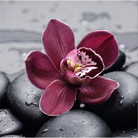 2019 Special Popular Red Flower 5d Diy Diamond Painting Kits UK VM4197