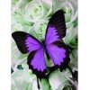 Butterfly Flower Full Drill 5D DIY Diamond Painting Kits UK Embroidery VM90576