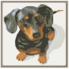 2019 Animal Dog 5D Diy Diamond Painting Kits Uk Cross Stitch Mosaic VM90044