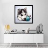 Funny Dog And Baseball 5d Diy Diamond Painting Dog Kits UK VM3009