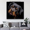 2019 Special Dog Rottweiler Pictures 5d Diy Diamond Painting Kits UK VM9853