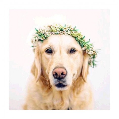 Best Pet Dog Diy 5d Full Diamond Painting Kits UK QB54841