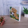 Special Dream Pet Dog Diy 5d Full Diamond Painting Kits UK QB5498