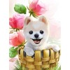 2019 Oil Painting Style Embroidery Dog 5d Diamond Painting Kits UK VM8706